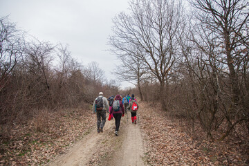 Fototapeta premium Group of hikers with backpacks walking on a rural trail. Countryside nature landscape. Active people outdoor. Healthy lifestyle activity. Pasture Area. Cloudy spring day. Back view. 