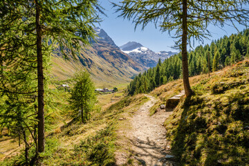 Fototapeta na wymiar Hiking trails in the Fex Valley (Switzerland) offer gorgeous views when walking from the entrance outside Sils Maria towards Fex Glacier at the end. It's located at an height of 1,800 to 2,000 metres