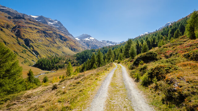 Hiking Trails In The Fex Valley (Switzerland) Offer Gorgeous Views When Walking From The Entrance Outside Sils Maria Towards Fex Glacier At The End. It's Located At An Height Of 1,800 To 2,000 Metres