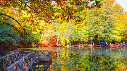 Autumn forest landscape reflection on the water with wooden pier - Autumn landscape in (seven lakes) Yedigoller Park Bolu, Turkey