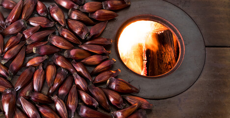 Roasting araucaria pine nut on the hot plate of the wood stove.
