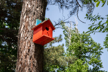 Wooden bird house in the forest.
