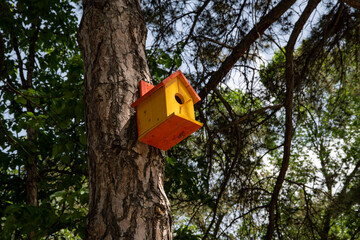 Wooden bird house in the forest.