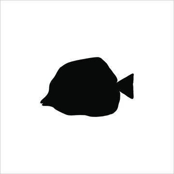 recommend clip art: The yellow tang (Zebrasoma flavescens) is a saltwater fish species of the family Acanthuridae Silhouette for Logo or Graphic Design Element. Vector Illustration 