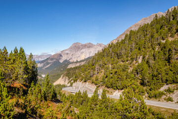 View on the Swiss National Parc from the top of the Fuorn or Ofen Pass (Pass dal Fuorn). It connects Zernez in the Engadin Valley with Val Müstair. The name is based on ovens they used in the area.