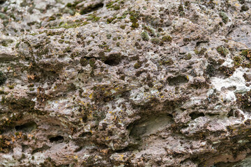  Close up of a stone texture. Stone macro background.