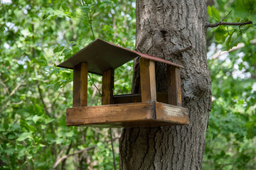 Wooden bird house in the forest.