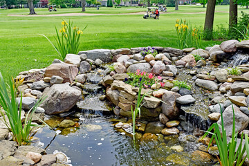 A backyard water feature and the adjacent golf course, come alive in the spring 