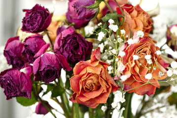 bunch of faded orange and purple roses close up