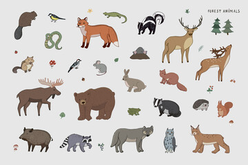 Forest animals vector illustrations set