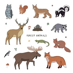 Forest animals vector illustrations set