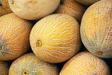 Ripe melons selling on the market in Israel