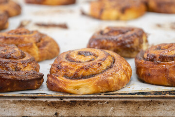 Tasty freshly baked buns on the bakery counter