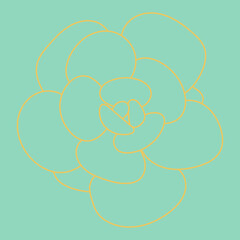 Succulent background. Flower in the desert. Doodle drawing succulent. Outline sketch. Drawing Pattern.