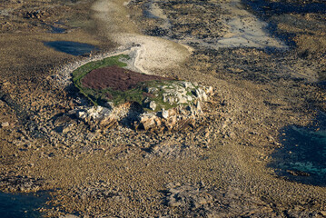 vue a&eacute;rienne de la plage bretonne de Tr&eacute;vou-Tr&eacute;guinec en France