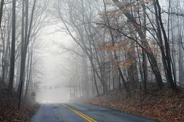 A road to foggy forest