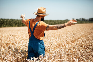 Young farmer walking through wheat field in warm sunny day.