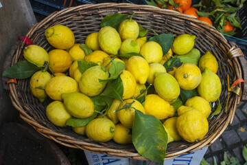 Bascket with lemons 