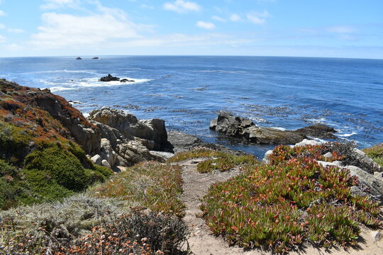 Big SUR Californiat