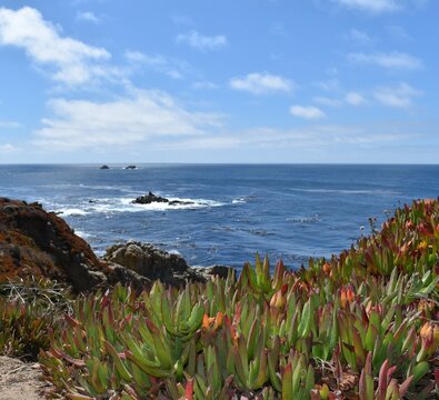 Big SUR California