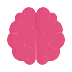 human brain icon