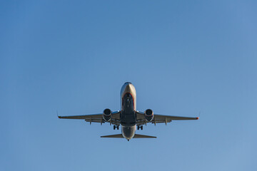 Passenger airliner with extended landing gear, landing at the airport, bottom view