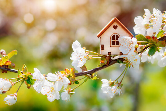 Miniature house on flowering branch close-up and copy space.