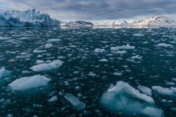 Melting glacier in Svalbard, Norway. The sea is full of ice pieces.