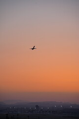 airplane silhouettes isolate on a red background at sunset. 