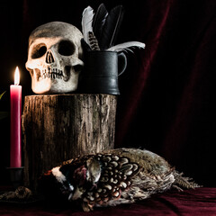 Skull, pheasant and flowers and Candle.