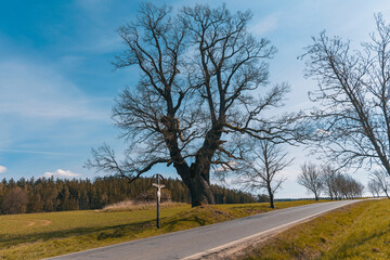 Fototapeta premium Road with a statue of Jesus on the cross along it, taken in sunny weather in spring