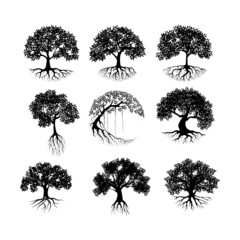 Collection mangrove tree vector silhouette, black and white colors