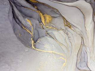 Abstract grey art with gold — marble background with beautiful smudges and stains made with alcohol ink and golden pigment. Black and white fluid texture resembles feather, watercolor or aquarelle.