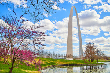 Gateway Arch in St. Louis by cherry trees and pond