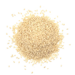 White sesame seed isolated on white background. spot focus.