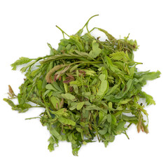 Heap of Tamarind leaves isolated on white background. Spot focus