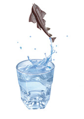 ange de mer , poisson, évasion, saut, eau, en verre, boire, clapoter, liquide, isolé, froid, blanc, danger, boisson, glace, bouillonner, bleu, éclaboussure, frais, clair, abattre, verser, sain, transp