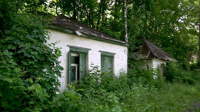Abandoned Ukrainian traditional house in the wilds of Chernobyl. Chernobyl city. Ukraine