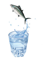 bonite à ventre rayé , poisson, évasion, saut, eau, en verre, boire, clapoter, liquide, isolé, froid, blanc, danger, boisson, glace, bouillonner, bleu, éclaboussure, frais, clair, abattre, verser, sai