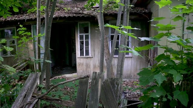 Chernobyl city. Ukraine. Abandoned Ukrainian traditional house in the wilds of Chernobyl