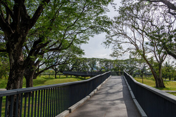 Fototapeta premium Outdoor sunny view on pathway at Benchakitti Forest Park, famous public park in Bangkok, Thailand. 