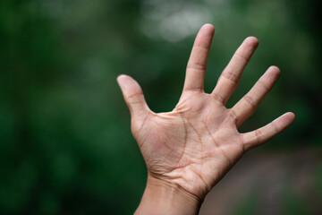 Male palm shows five fingers on a green background. Hello. Stop gesture.