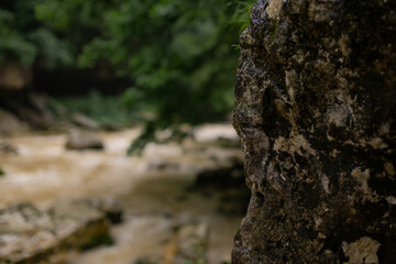 Wet stones near the river bank close-up.