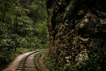 Fairy-tale landscape of abandoned rails laid along high mountains. Summer forest after the rain.
