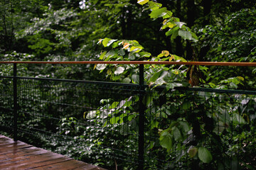 An old suspension bridge over a stormy river.