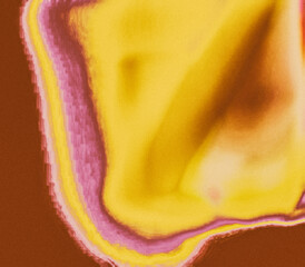 Grainy Abstract Gradient Background Colorful Heatmap