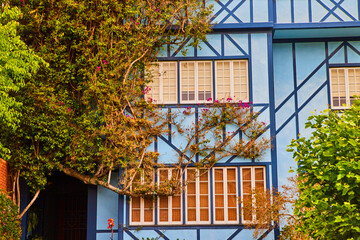 Fototapeta na wymiar Detail of vibrant blue west coast home with ivy and spring colors