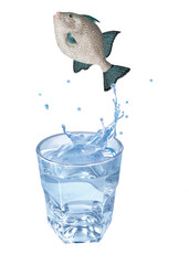 baliste capri, poisson, évasion, saut, eau, en verre, boire, clapoter, liquide, isolé, froid, blanc, danger, boisson, glace, bouillonner, bleu, éclaboussure, frais, clair, abattre, verser, sain, trans