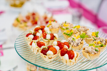canapes on a plate. catering services for the banquet. convenient small snacks.
