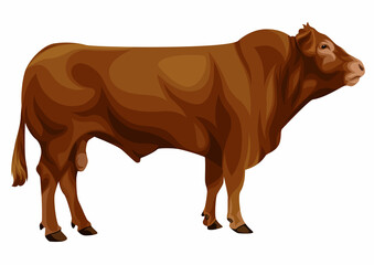 Deauville Limousin Breeder Illustration